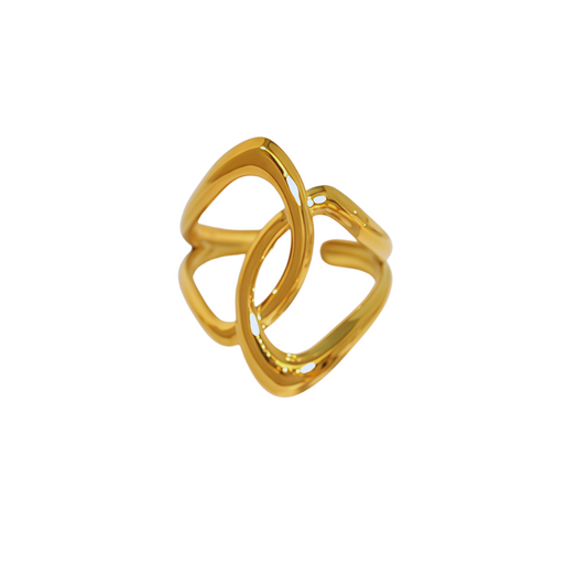 Anillo Enlace