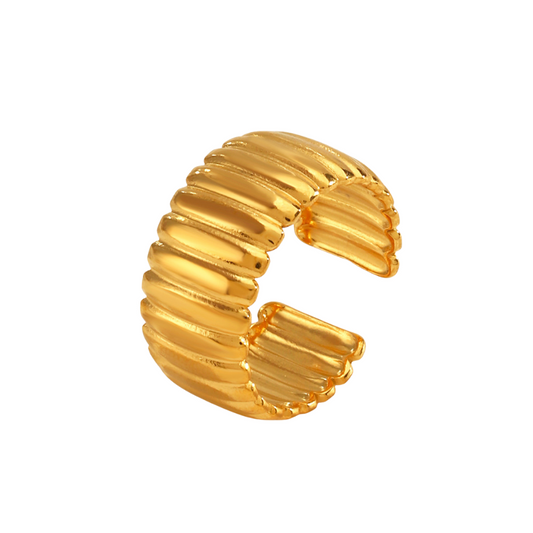 Anillo vanguardista